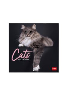 calendario 2027 pared 18x18 cats legami-8052694130800