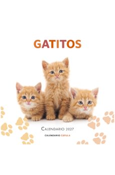calendario gatitos 2027-9788448049300