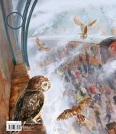 harry potter y la piedra filosofal (ilustrado) (harry potter 1)-j.k. rowling-9788498387070