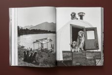 the golden retriever photographic society-bruce weber-9783836586634