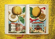 j. c. volkamer. the book of citrus fruits-iris lauterbach-9783836535250