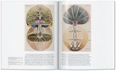 hilma af klint-janis mink-9783754406052