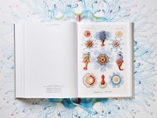 the art and science of ernst haeckel-rainer willmann-julia voss-9783836526463