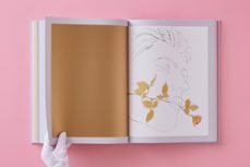 andy warhol. seven illustrated books 1952-1959-andy warhol-9783836592581