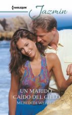 UN MARIDO CAÍDO DEL CIELO (EBOOK)