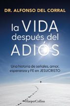 LA VIDA DESPUÉS DEL ADIÓS (EBOOK)
