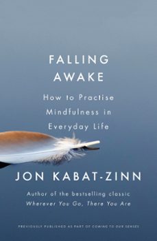 falling awake (ebook)-jon kabat zinn-9780349421100
