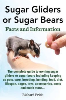 sugar gliders or sugar bears-9781910517000