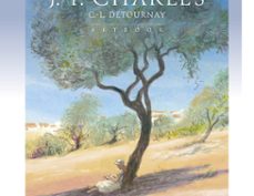 jean-françois charles : artbook (ebook)-jean françois charles-9782203224100