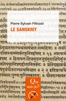 -pierre-sylvain filliozat-9782715402300