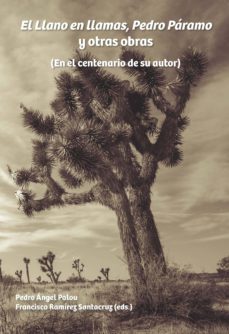 el llano en llamas, pedro paramo y otras obras (ebook)-9783954875900