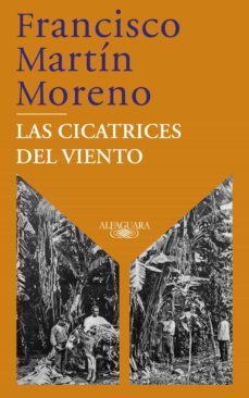 las cicatrices del viento (ebook)-9786073802000