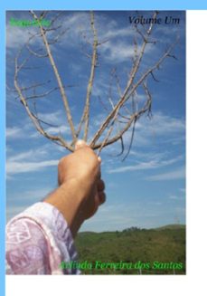 esquisito (ebook)-arlindo ferreira dos santos-9786526611500