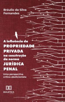 a influencia da propriedade privada na construço da norma juridica penal (ebook)-bráulio da silva fernandes-9786527026600