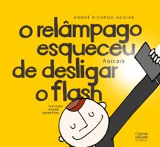 o relampago esqueceu de desligar o flash (ebook)-andré ricardo aguiar-9786553846500