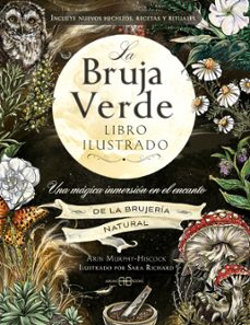 la bruja verde. libro ilustrado-arin murphy-hiscock-9788419510600