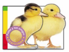 patito y sus amigos (descubre y juega)-9788479423100