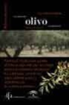 las rutas del olivo en andalucia: masaru en el olivar-9788493199500