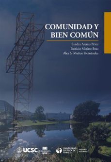 comunidad y bien comun (ebook)-sandra arenas pérez-patricio merino beas-alex s. muñoz hernández-9789566224600