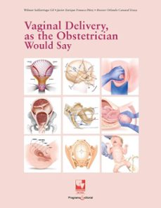 vaginal delivery, as the obstetrician would say (ebook)-wilmar saldarriaga gil-hoover orlando canaval erazo-javier enrique fonseca pérez-9789585073500