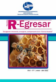 revista r-egresar (ebook)-mireya bolett-luisa fernanda zambrano diaz-eudomar tovar-9789804410000