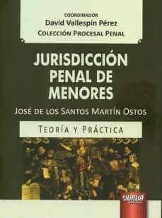 jurisdiccion penal de menores-david vallestin perez-9789897123900