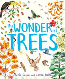 the wonder of trees (ebook)-nicola davies-9781444938210