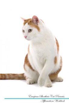 european shorthair cat affirmations workbook european shorthair cat presents-9781526969910