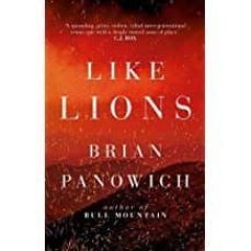 like lions-9781784082710