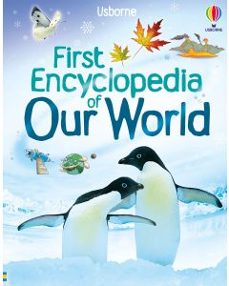 first encyclopedia of our world-felicity brooks-9781836041610