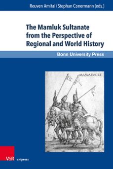 the mamluk sultanate from the perspective of regional and world history (ebook)-9783847004110