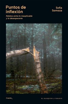 puntos de inflexion (ebook)-sofia somoza-9786316665010