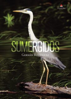 sumergidos (ebook)-9788411890410