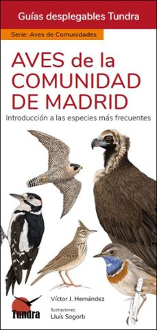 aves de la comunidad de madrid- guias  desplegables tundra-9788418458910