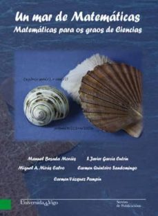 un mar de matematicas-manuel besada morais-9788481587210