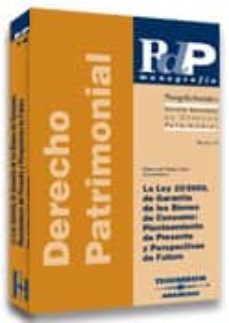 rdp nº 14: la ley 23-2003, de garantia de los bienes de consumo : planteamiento de presente y perspectivas de futuro-9788497678810