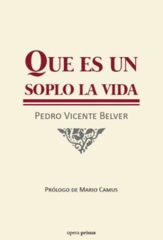 que es un soplo la vida-pedro vicente belver-9788499465210