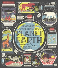 the wondrous workings of planet earth (ebook)-rachel ignotofsky-9780399580420