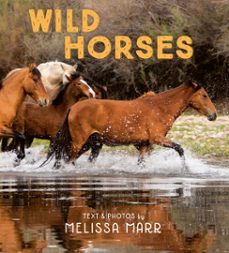 -melissa marr-9780593109120