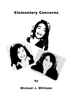 elementary concerns (ebook)-michael williams-9781301253920