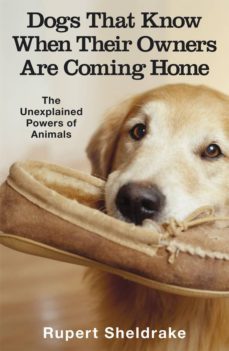 dogs that know when their owners are coming home (ebook)-rupert sheldrake-9781448106820