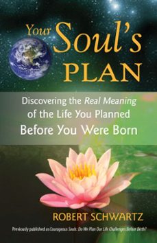 your soul's plan (ebook)-robert schwartz-9781556439520