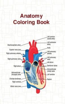 anatomy coloring book-9781643541020