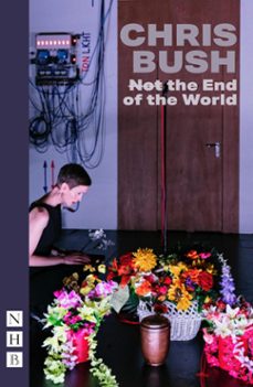 (not) the end of the world (ebook)-chris bush-9781788507820