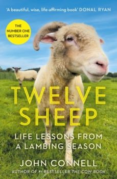 twelve sheep-john connell-9781805461920