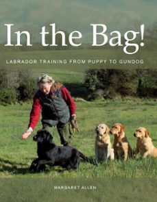 in the bag! (ebook)-margaret allen-9781847975720
