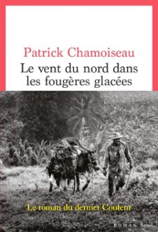 le vent du nord dans les fougères glacees (ebook)-patrick chamoiseau-9782021470420