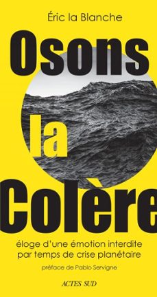 osons la colère (ebook)-eric la blanche-9782330207120