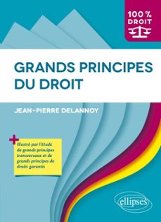 grands principes du droit (ebook)-9782340123120