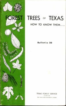 forest trees of texas (ebook)-w. r. matoon-9783736415720